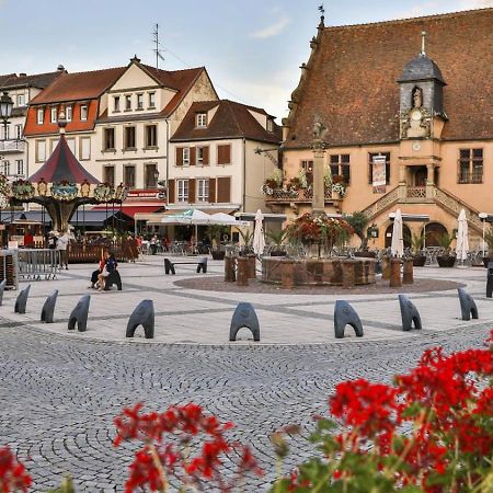 Studio Cosy A Molsheim Calme, Centre-Ville Et Acces Strasbourg Екстер'єр фото