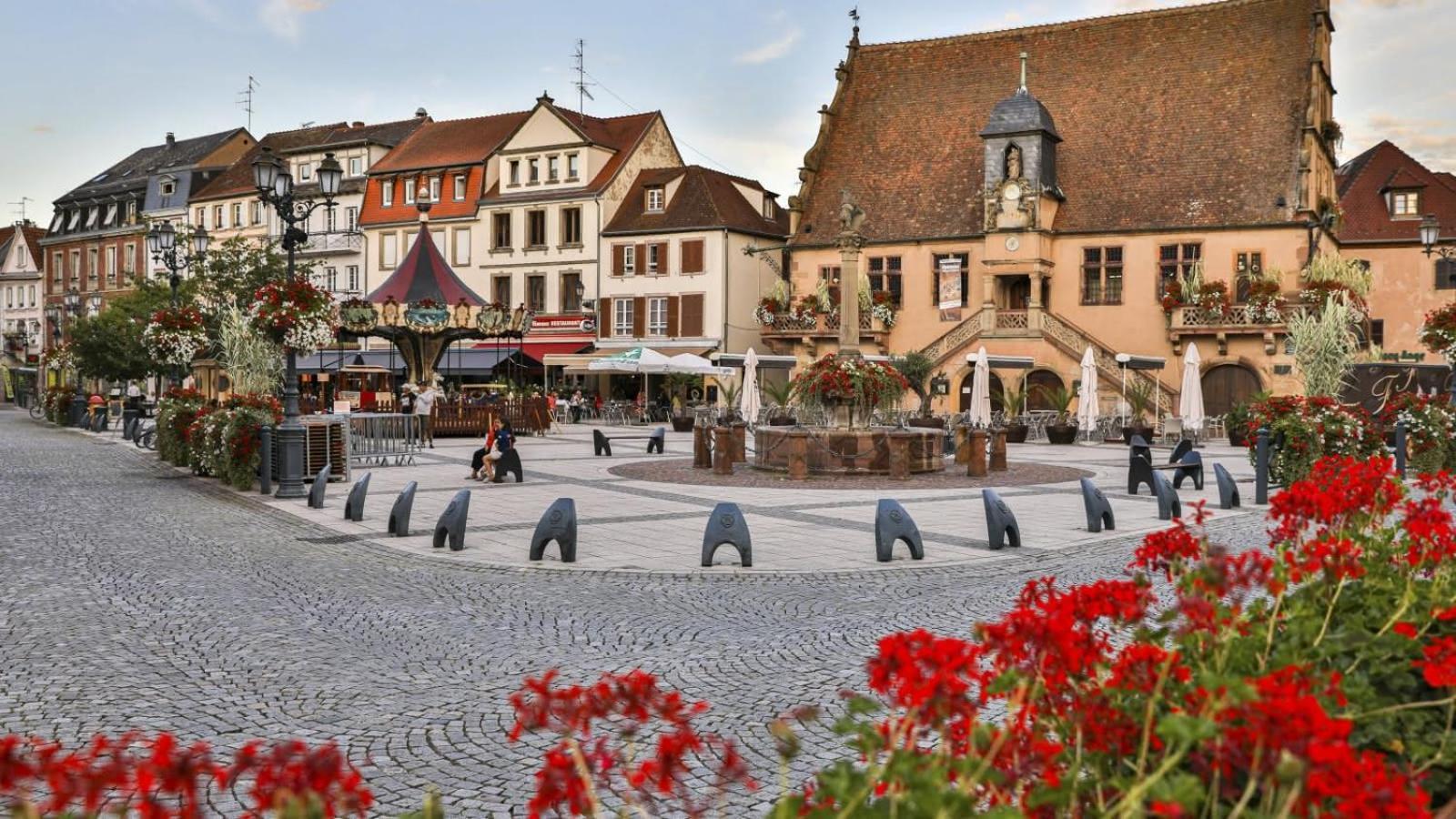 Studio Cosy A Molsheim Calme, Centre-Ville Et Acces Strasbourg Екстер'єр фото